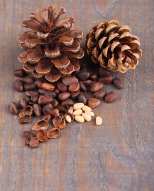 Sedir çam fıstığı ahşap tablo