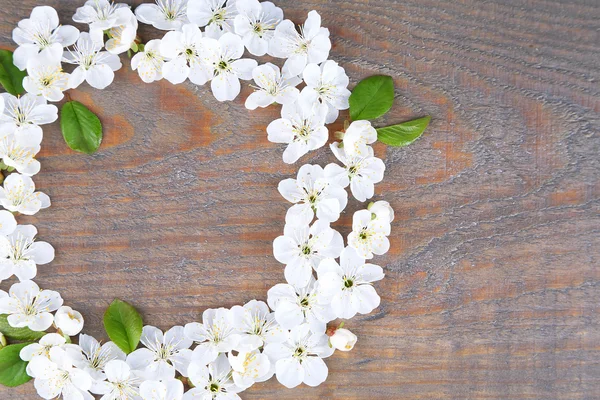 Schöne Kirschblüte auf Holzgrund — Stockfoto