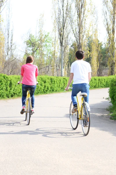 Young couple riding on bicycles in park — Stock Photo, Image