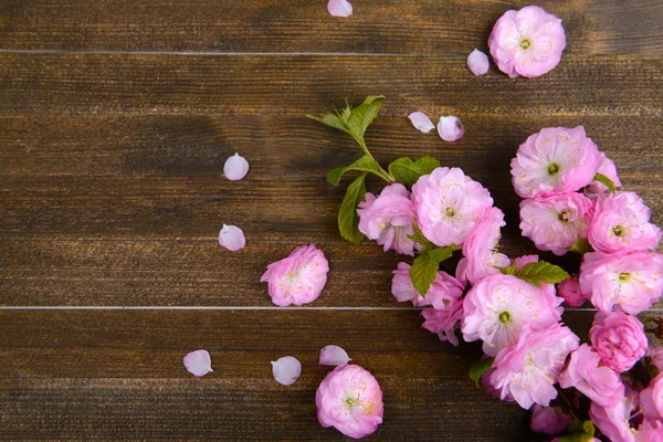 Schöne Obstblüte auf Holzgrund — Stockfoto