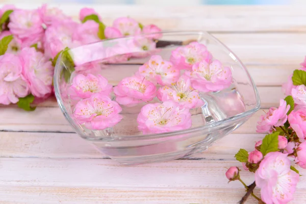 Beautiful fruit blossom on table close-up — Stock Photo, Image
