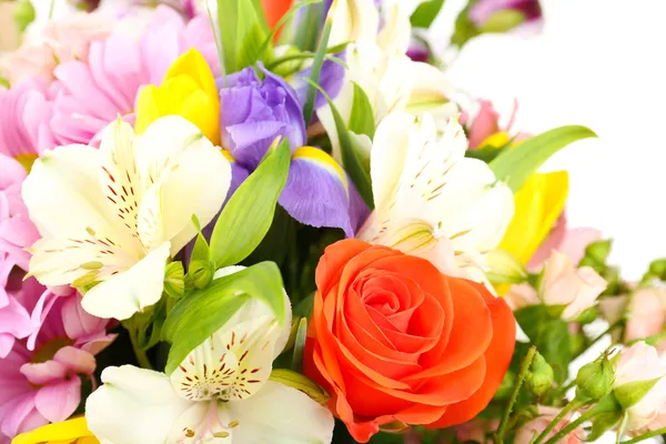 Beautiful flowers close up — Stock Photo, Image