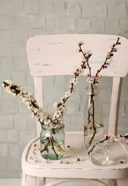 Bela flor de damasco em frascos transparentes no fundo da parede cinza — Fotografia de Stock