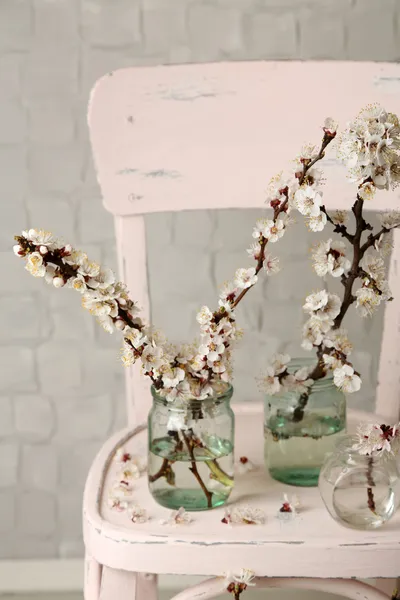 Bela flor de damasco em frascos transparentes no fundo da parede cinza — Fotografia de Stock