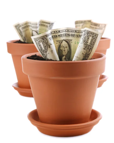 Concept d'entreprise : cultiver l'argent dans les pots de fleurs, isolé sur blanc — Photo