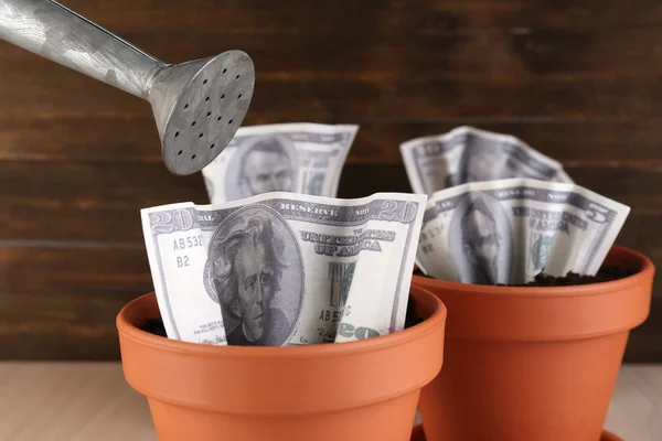 Business concept: growing money in the flowerpots on table — Stock Photo, Image