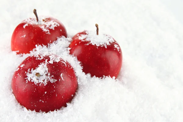 Κοντά κόκκινα μήλα στο χιόνι — Φωτογραφία Αρχείου