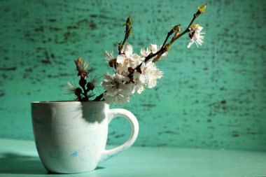 eski ahşap zemin üzerinde Kupası güzel kayısı çiçeği