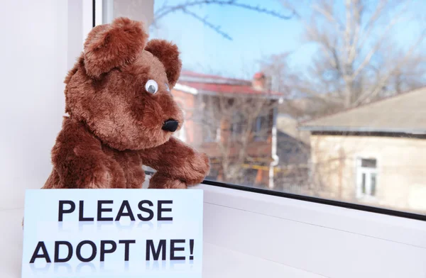Toy-bear looking out window close-up — Stock Photo, Image