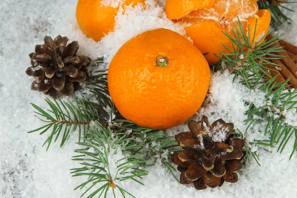 Mandarines mûres avec branche de sapin dans la neige gros plan — Photo