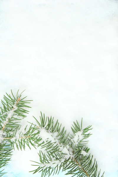 Vinter bakgrund på snö, närbild — Stockfoto