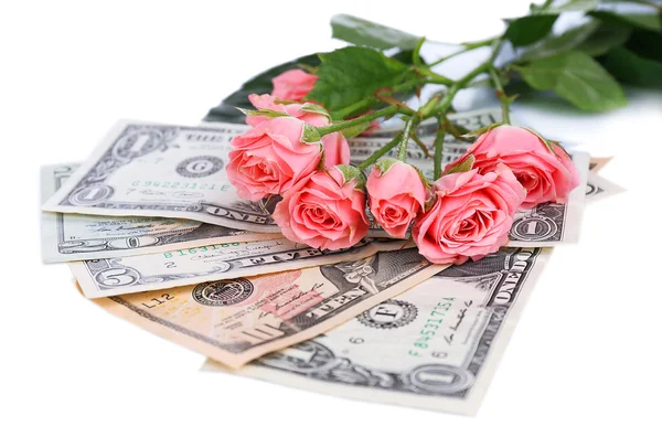 Piękne róże i pieniędzy, na białym tle — Zdjęcie stockowe