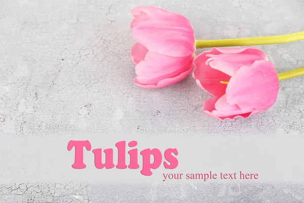 Beautiful pink tulips on wooden table — Stock Photo, Image