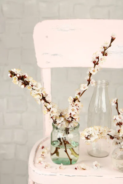 Beautiful apricot blossom in transparent jars on grey wall background — Stock Photo, Image