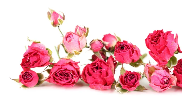 Beautiful pink dried roses, isolated on white — Stock Photo, Image