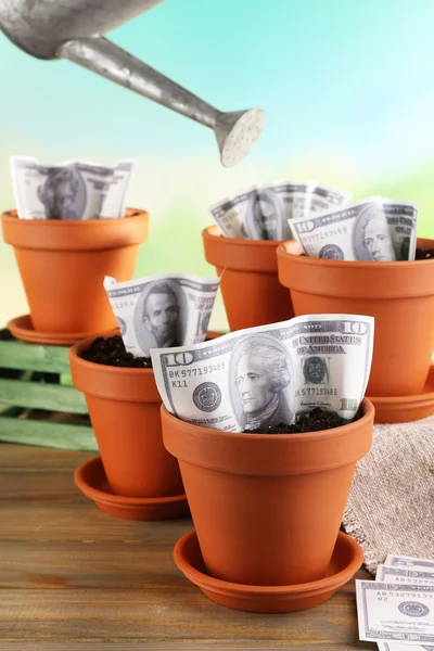 Bedrijfsconcept: groeiende geld in de bloempotten op aard achtergrond — Stockfoto
