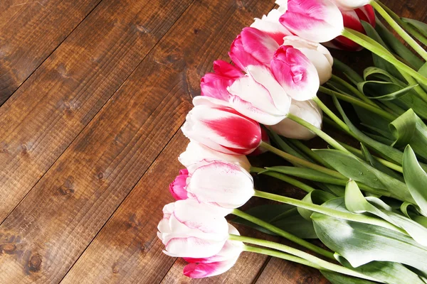 Belles tulipes sur fond en bois couleur — Photo