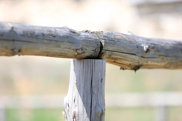 Wooden fence, close-up, on nature background — Stock Photo, Image