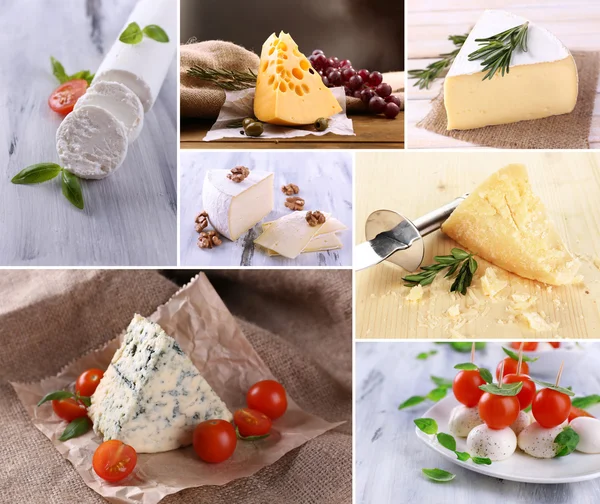 Collage of delicious cheeses — Stock Photo, Image