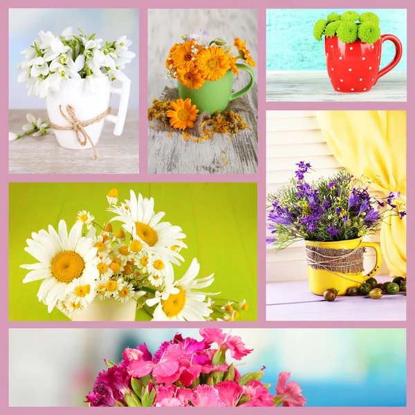 Collage av koppar med blommor — Stockfoto