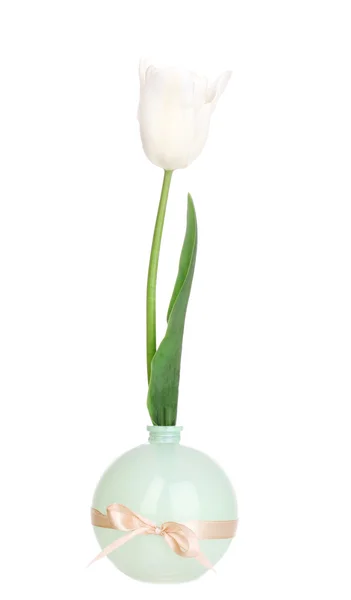 Beautiful tulip in vase isolated on white — Stock Photo, Image