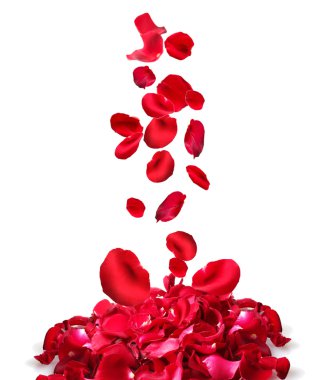 Beautiful petals of red roses isolated on white clipart