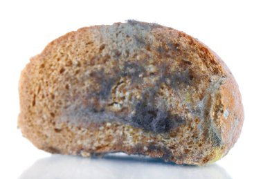 küflü çavdar ekmeği, beyaz izole