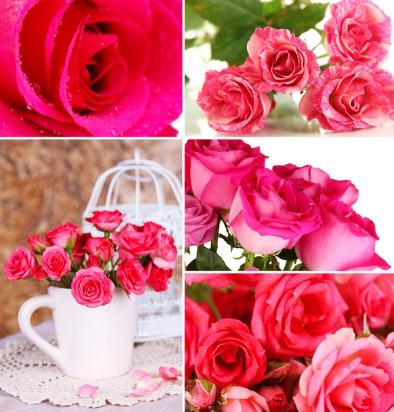 美丽的玫瑰拼贴画 — 图库照片