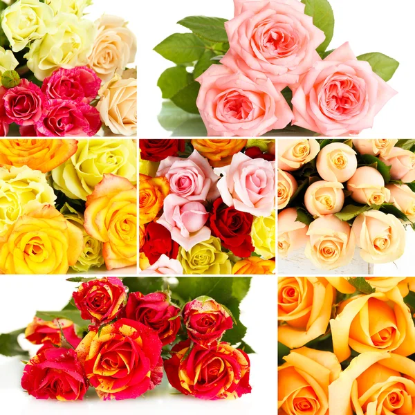 Vackra rosor collage — Stockfoto