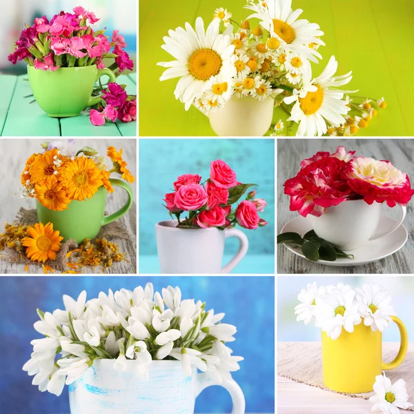 Colagem de copos com flores — Fotografia de Stock