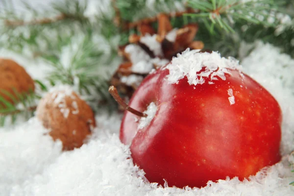 Maçã vermelha com ramos de abeto e solavancos na neve perto — Fotografia de Stock