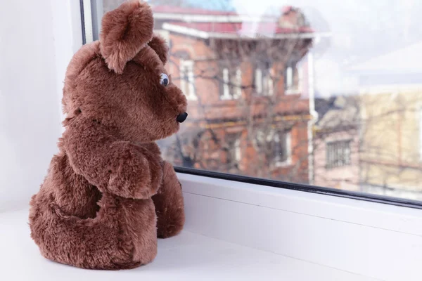Leksak-Björn tittar ut fönstret närbild — Stockfoto