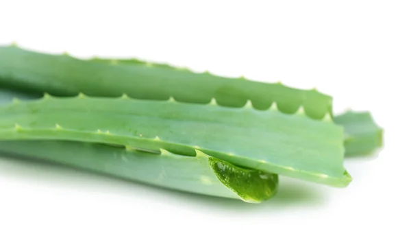 Свіже зелене листя алое, ізольоване на білому — стокове фото
