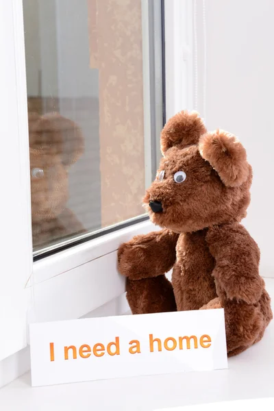Brinquedo-urso olhando pela janela close-up — Fotografia de Stock