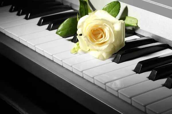 Synthesizer klavye gül desenli arka planı — Stok fotoğraf