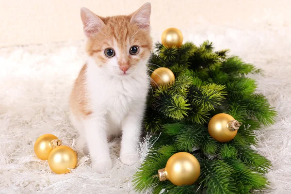 Kätzchen mit Weihnachtsdekoration auf Teppich — Stockfoto