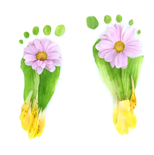 A levelek és virágok elszigetelt fehér lábnyomok — Stock Fotó
