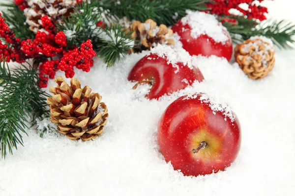Красные яблоки с ветвями ели в снегу близко — стоковое фото