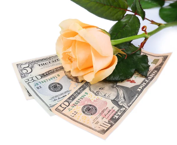 Beautiful rose and money, isolated on white — Stock Photo, Image