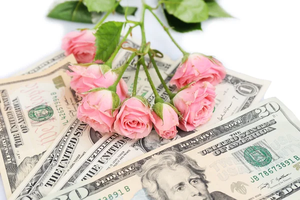 Beautiful roses and money, isolated on white — Stock Photo, Image