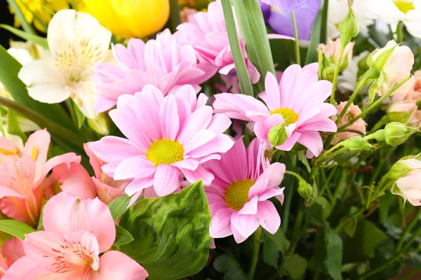 Gyönyörű virágok záródnak. — Stock Fotó