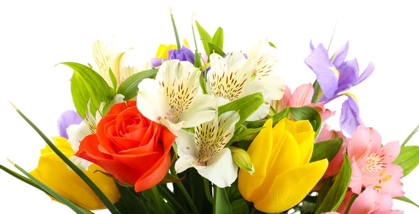 Hermosas flores aisladas en blanco —  Fotos de Stock