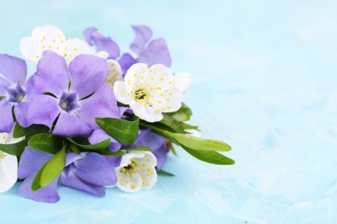 Mavi masaya salyangozu çiçek ile güzel bir buket