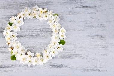 Ahşap arka planda güzel Kiraz Çiçeği