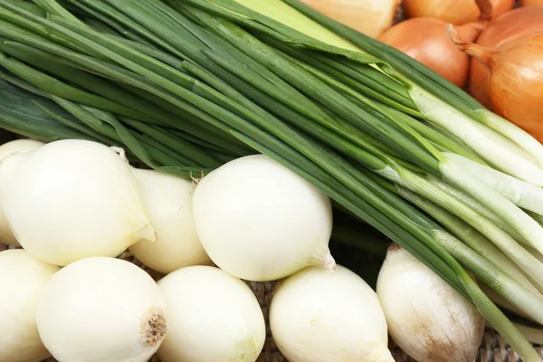 Different raw onion, close up — Stock Photo, Image