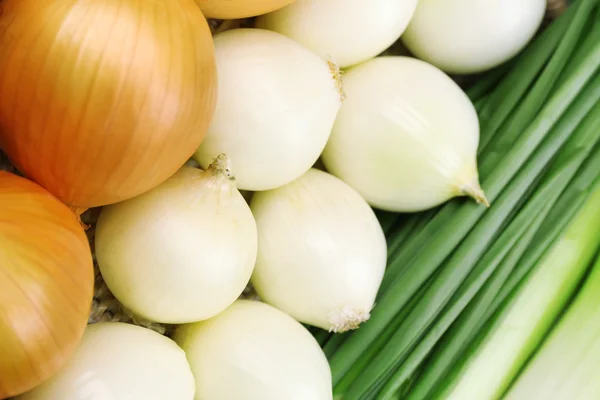 Różne surowej cebuli, bliska — Zdjęcie stockowe
