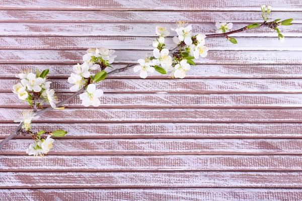 Ramo de árvore florescente com flores brancas no fundo de madeira — Fotografia de Stock