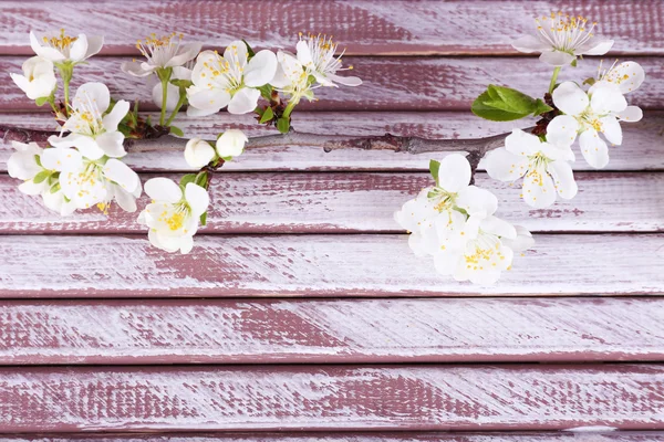 Blooming tree branch with white flowers on wooden background — Stock Photo, Image