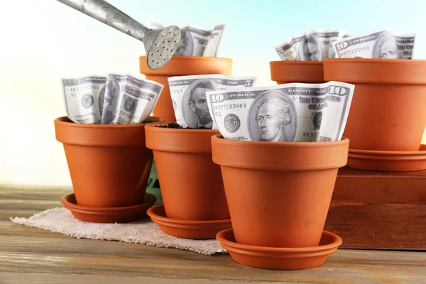 Business concept: growing money in the flowerpots on nature background — Stock Photo, Image