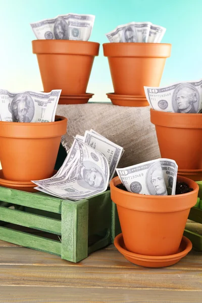 Bedrijfsconcept: groeiende geld in de bloempotten op aard achtergrond — Stockfoto